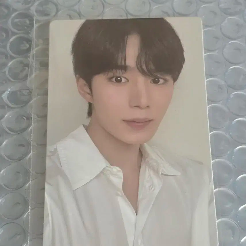 보플 아카이브 전시회 2주차 김준서 8번 포카