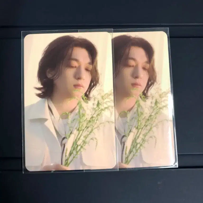 데이식스 피어텐 트레카 성진