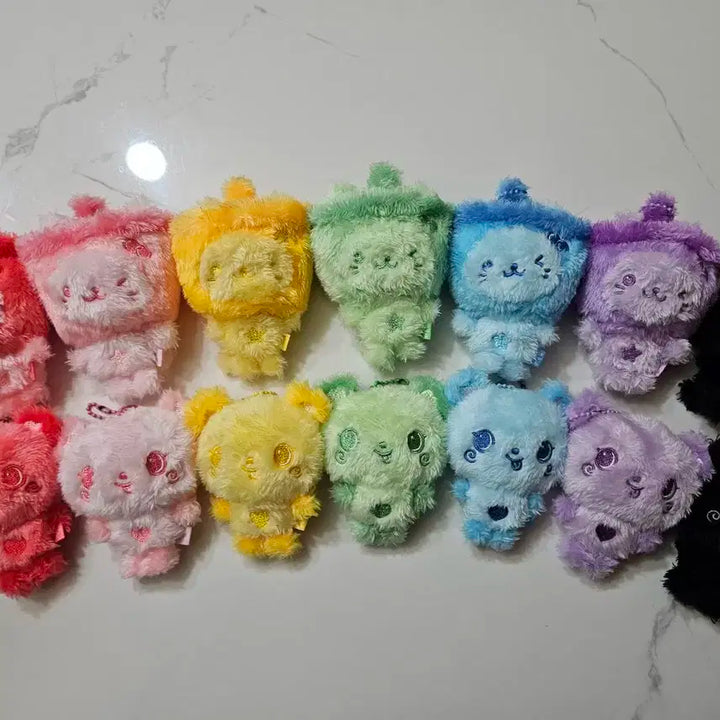 컬러돌 팡이 사쿠야 일괄 엔시티 위시 위시돌 팝업 엠디 nct wish