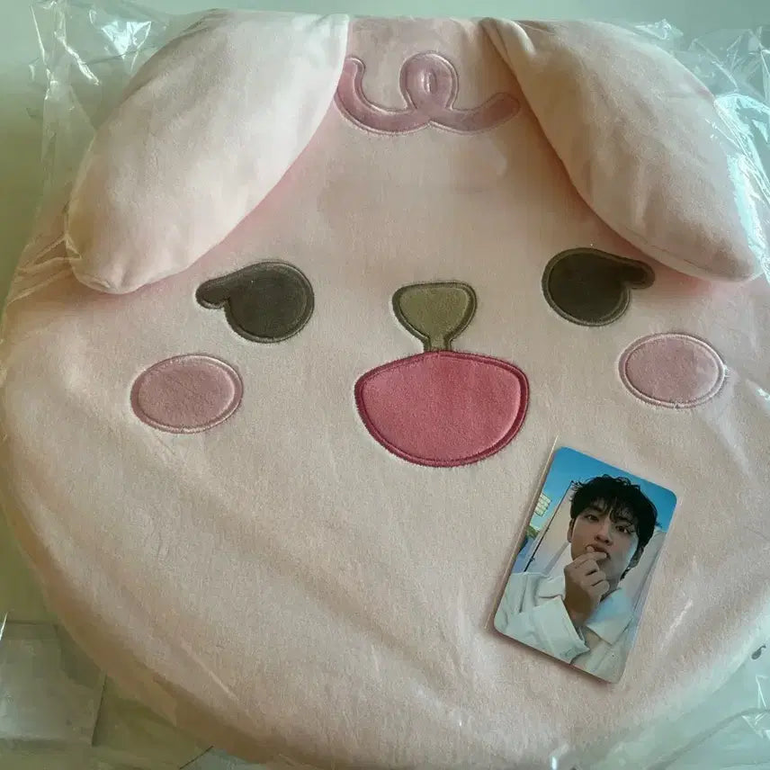 데이식스 쁘띠멀즈 방석 필