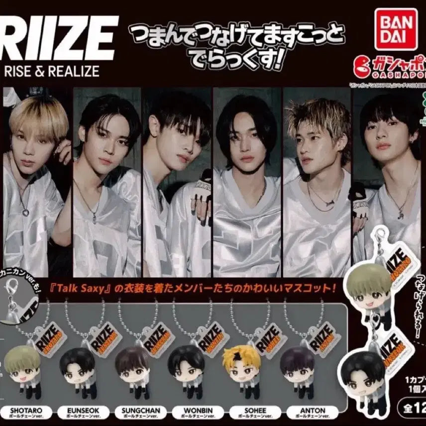 라이즈 일본 대롱대롱 연결 마스코트 가챠 쇼타로 키링 양도 포카