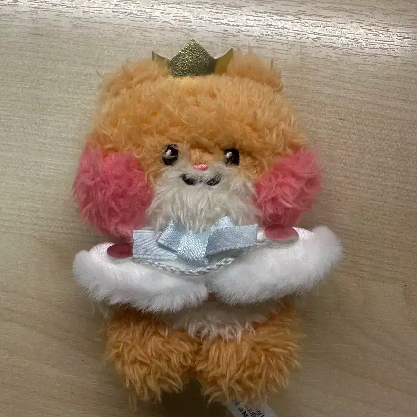 윈터프린스 비니