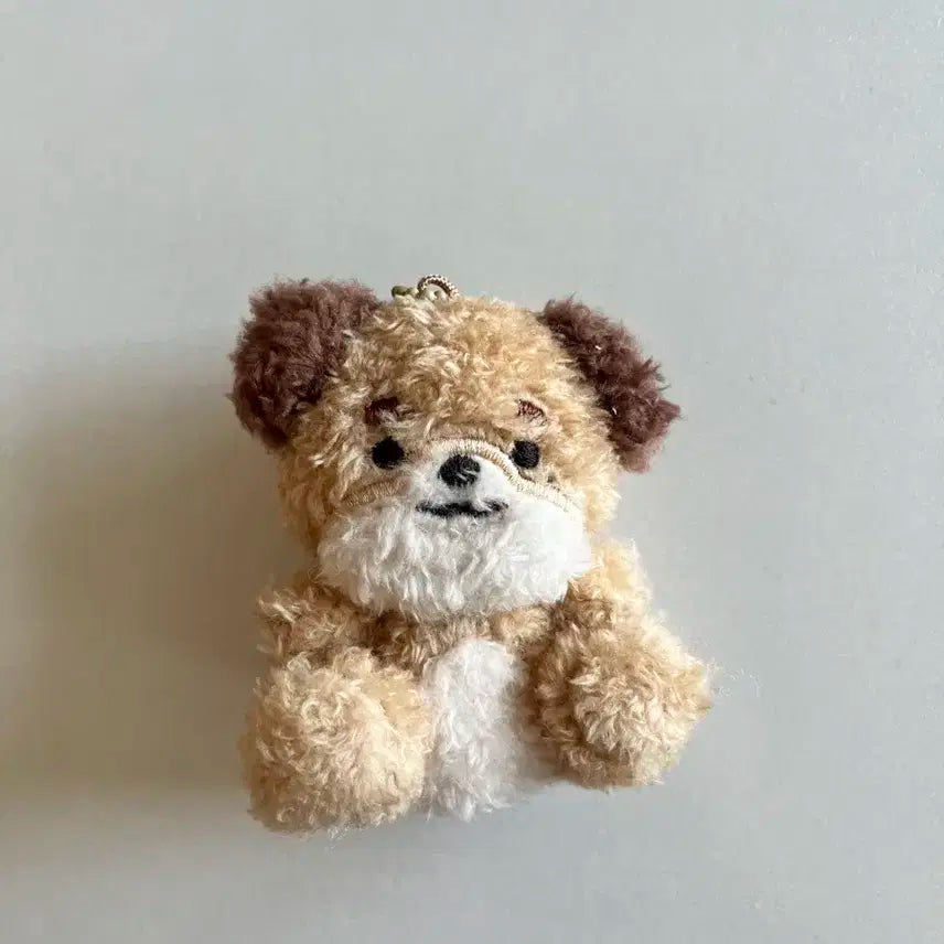 데이식스 데니멀즈 앉은멀즈 돈