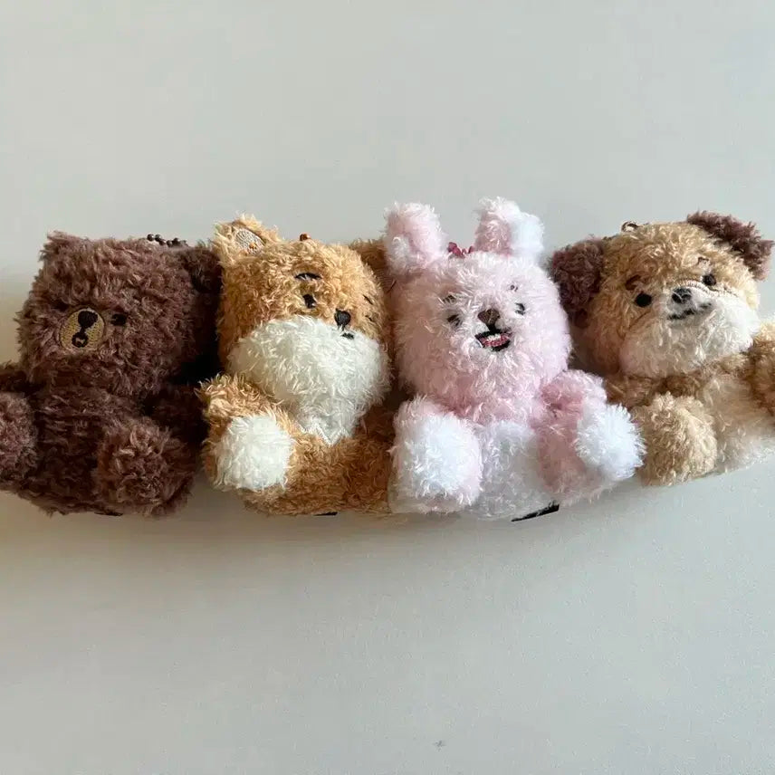 데이식스 데니멀즈 앉은멀즈 방케필돈 일괄