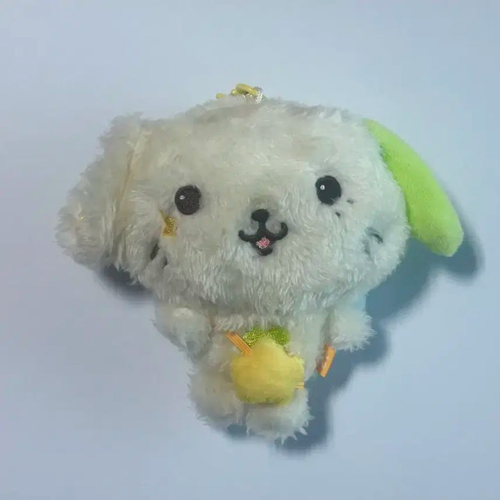 NCT WISH 위시돌 룐룐 양도