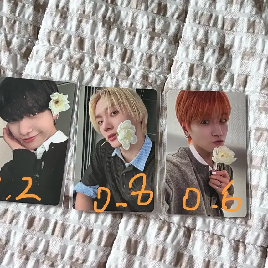 보넥도 디액션 앨범 특전