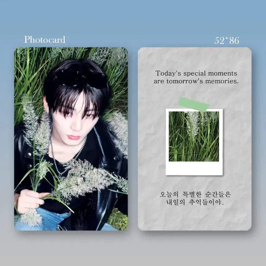 보넥도 태산 비공굿 포카 도안 2종 랜봉 랜박