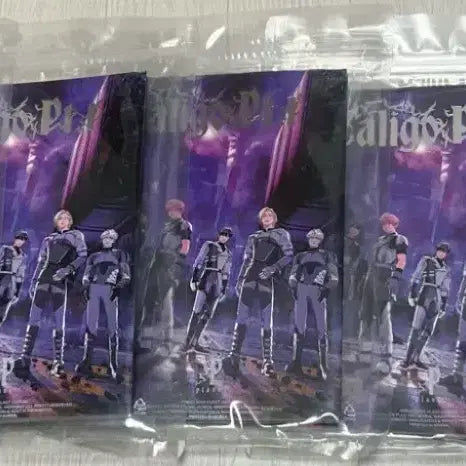 플레이브 푸지티브 앨범 5종 세트 미개봉 (카라비너 전종)