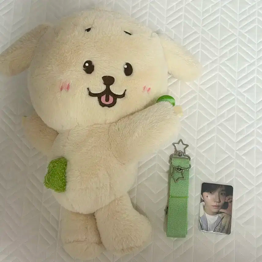 엔시티 위시 재희 댕트리버 가방 로그인