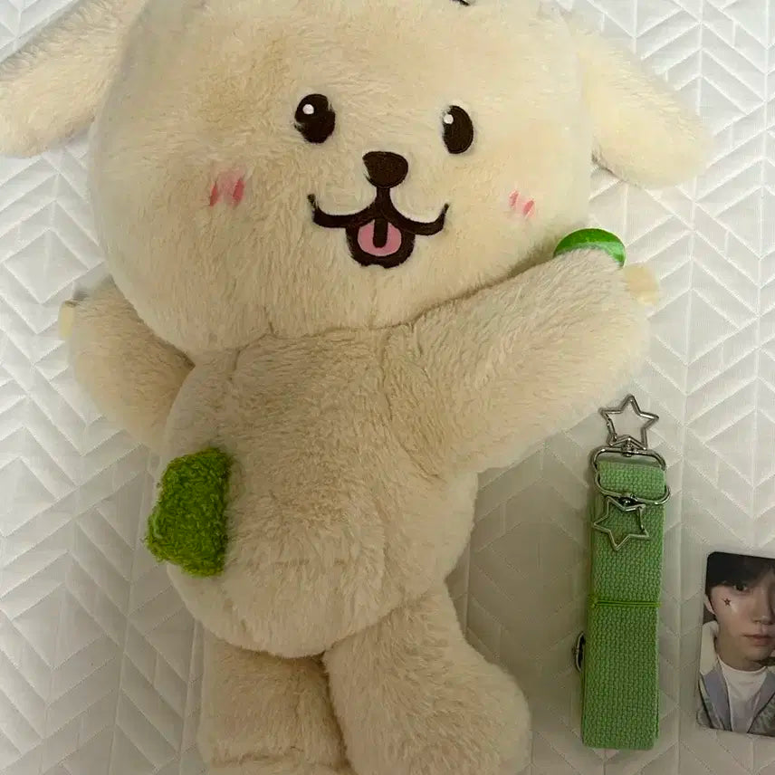 엔시티 위시 재희 댕트리버 가방 로그인