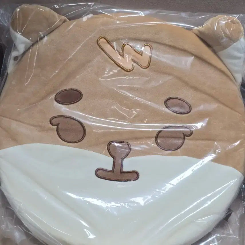 데이식스 방석 팬미팅 피어텐 md