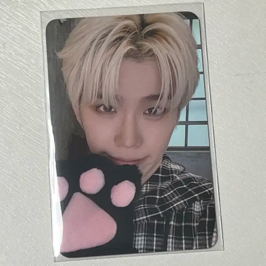 제베원 아이코닉 제로즈존 김태래 포카 Day3 막콘