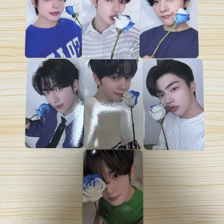 제베원 포카 판매합니다 3기 팬클럽/디스패치/성한빈 장하오