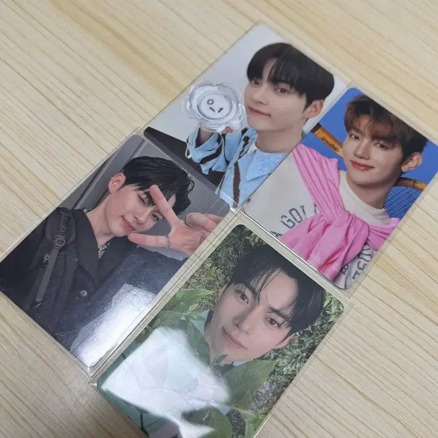 제베원 포카 판매합니다 3기 팬클럽/디스패치/성한빈 장하오