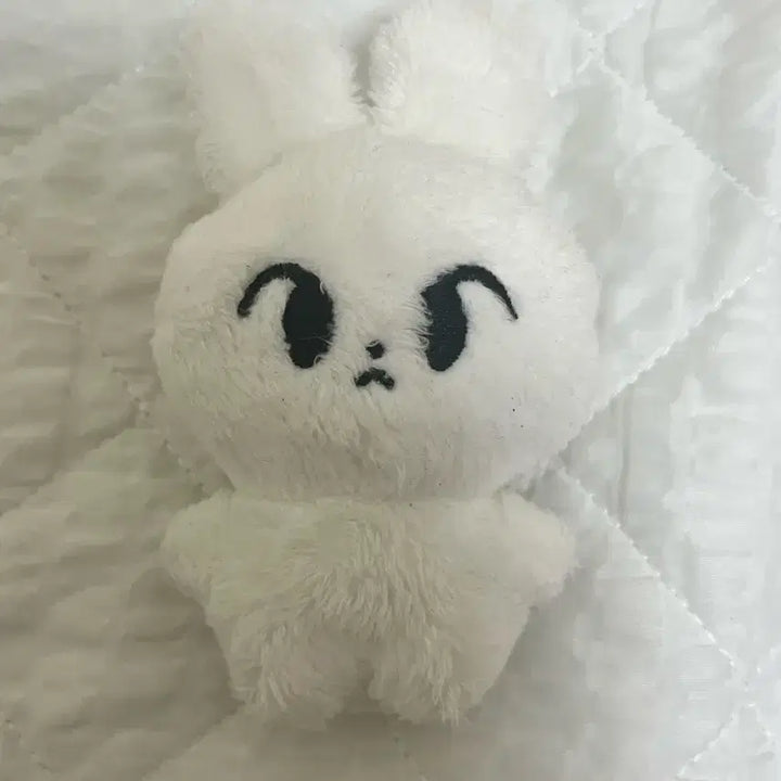 엔시티 도영 인형 팔아요