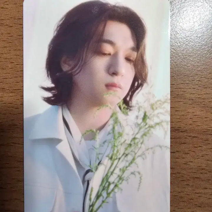 (미개봉) 데이식스 성진 PIER10 트레카