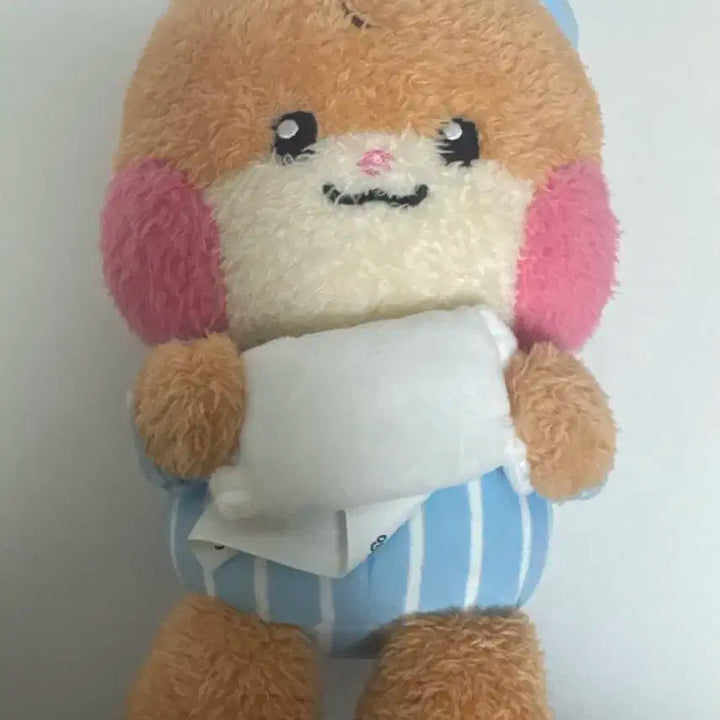 제로베이스원 성한빈 메세지 인형