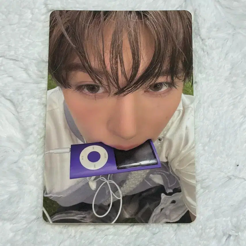 엔시티위시 nct wish 컬러 쥬얼 앨포 시온 앨범 포카