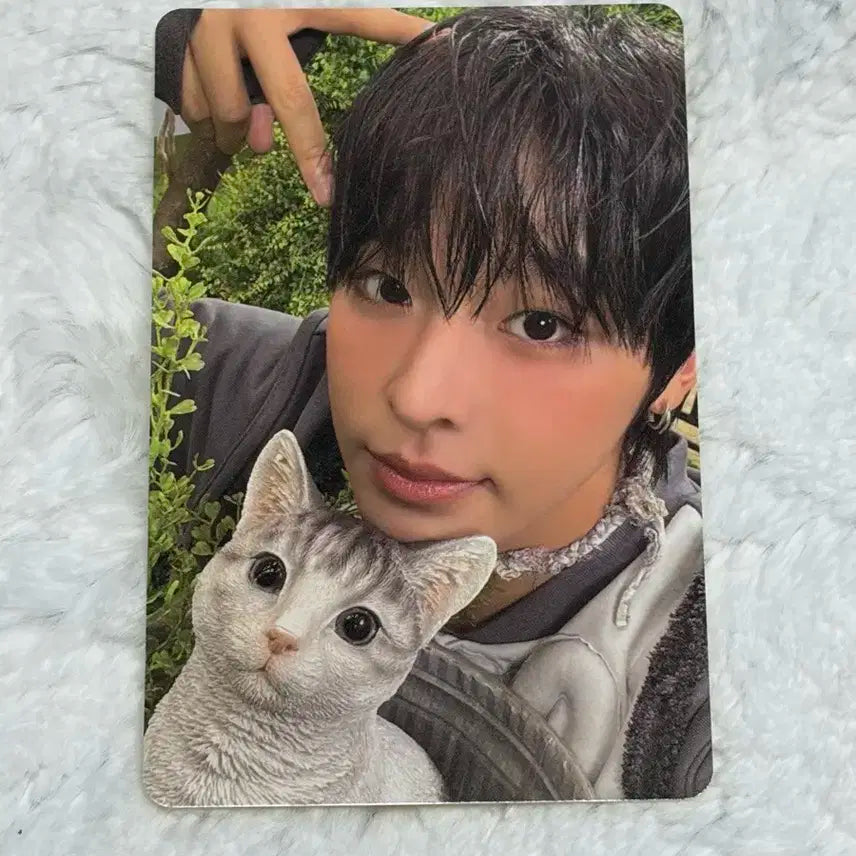 엔시티위시 nct wish 컬러 쥬얼 앨포 리쿠 앨범 포카