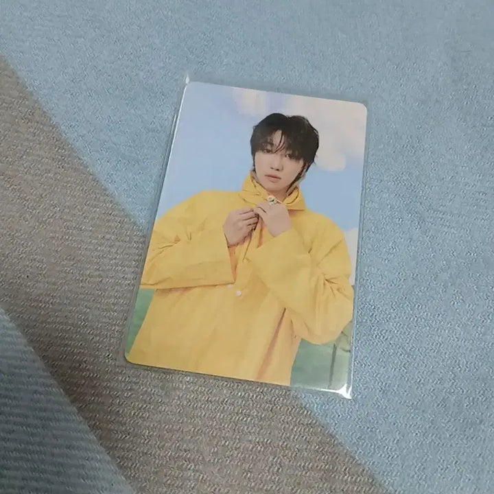 세븐틴 캐럿반 명호 일괄판매 합니다