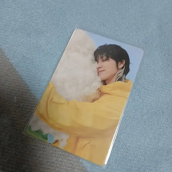 세븐틴 캐럿반 명호 일괄판매 합니다