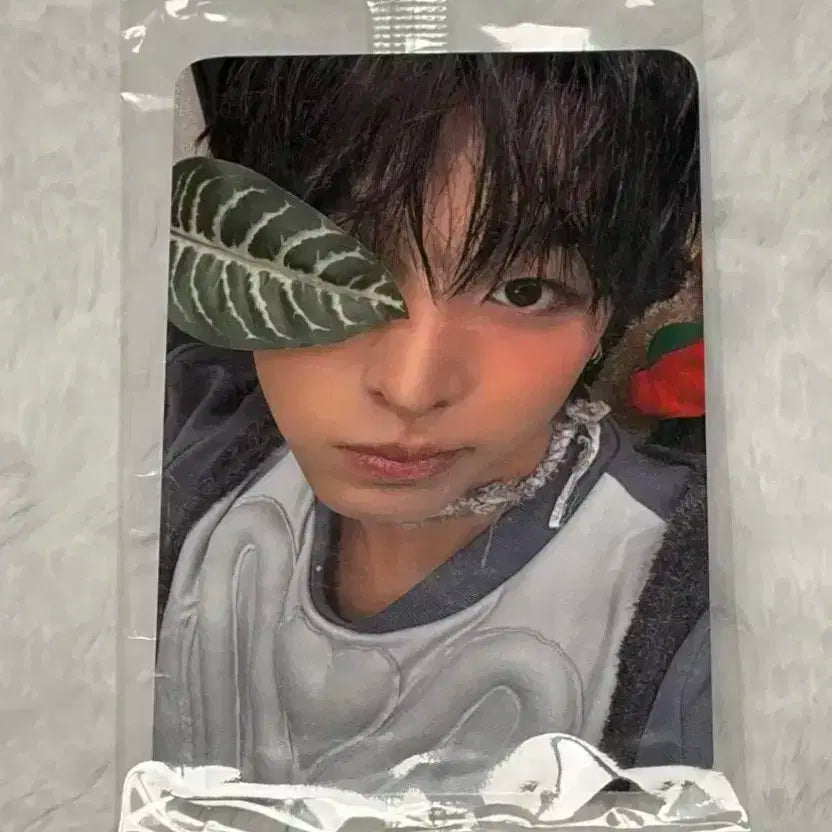 엔시티위시 nct wish 컬러 케타포 미공포 리쿠 포카