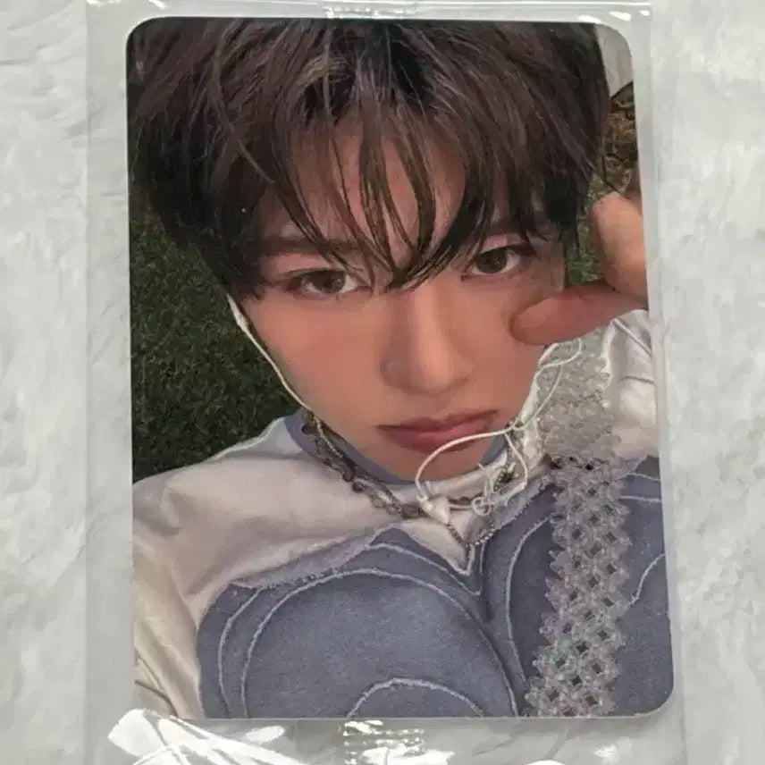 엔시티위시 nct wish 컬러 케타포 미공포 리쿠 포카