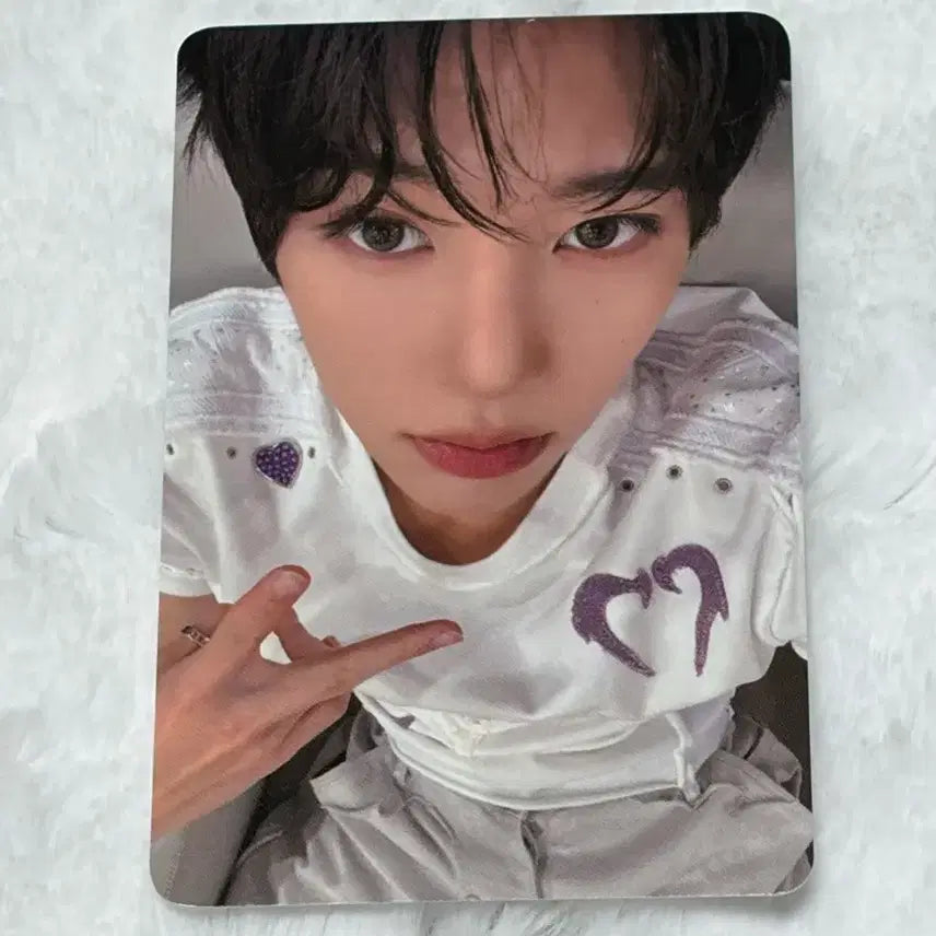 엔시티위시 nct wish 컬러 에버라인 미공포 시온 포카