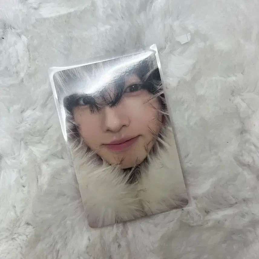 엔시티위시 사쿠야 컬러 초회한정반 미라클 포카 판매 유우시리쿠시온재희료