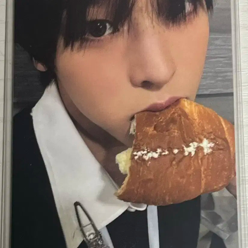 스테디 소금빵 리쿠 포카 steady I wish ver 포카 양도