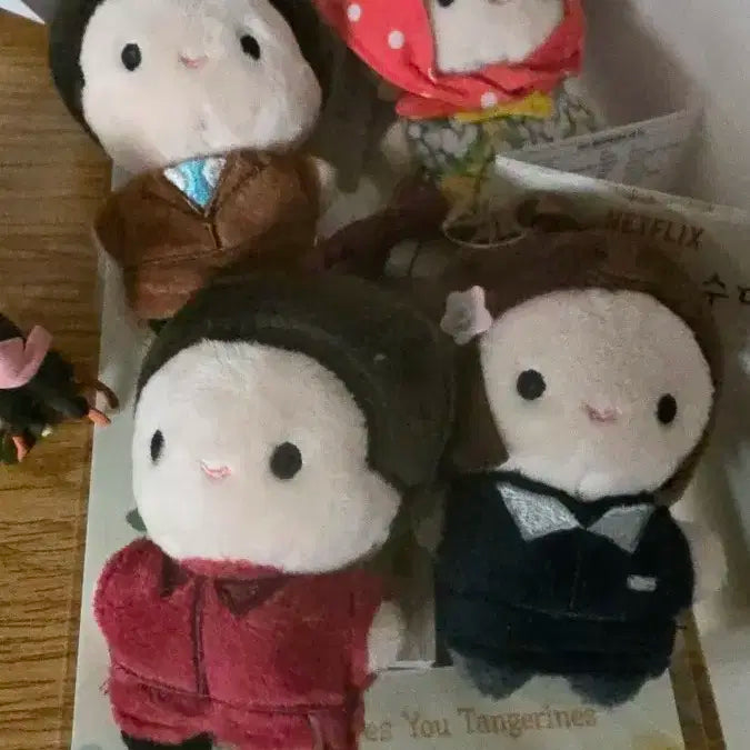 폭싹속았수다  아이유 인형 4종세트