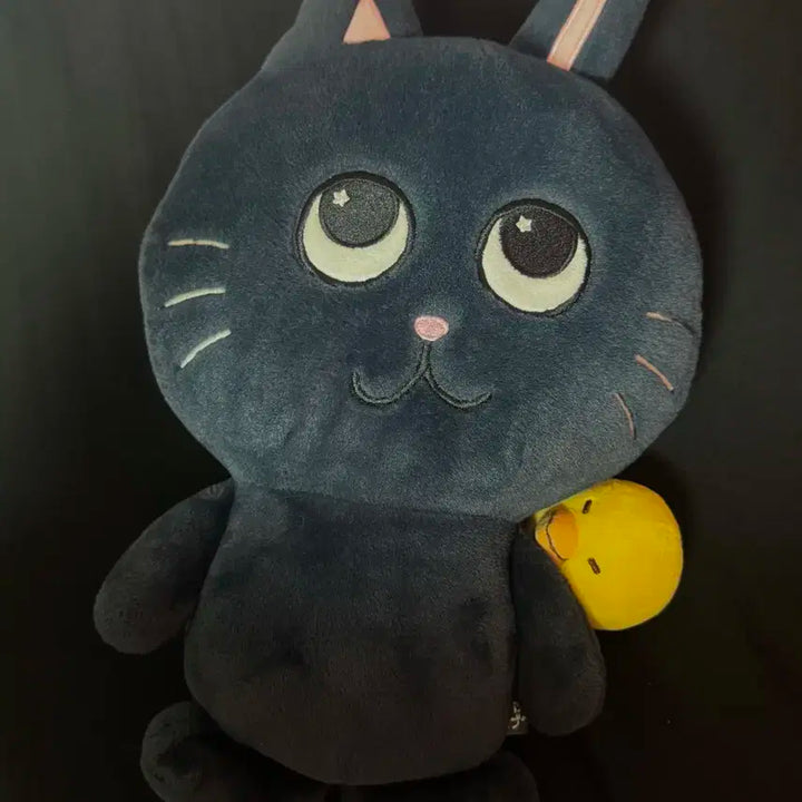 라이즈 원빈 대왕토냥덕 판매