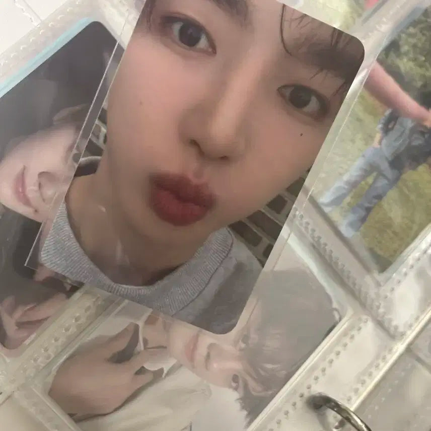 제베원 사웨 미공포 장하오 얼빡 양도