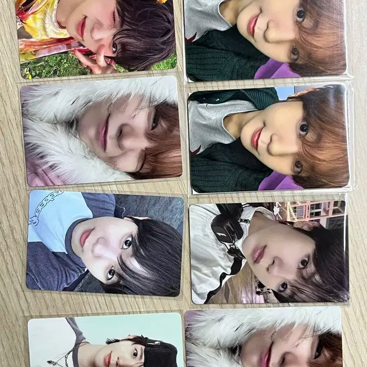 앤시티 위시 료 포토카드 일괄 판매