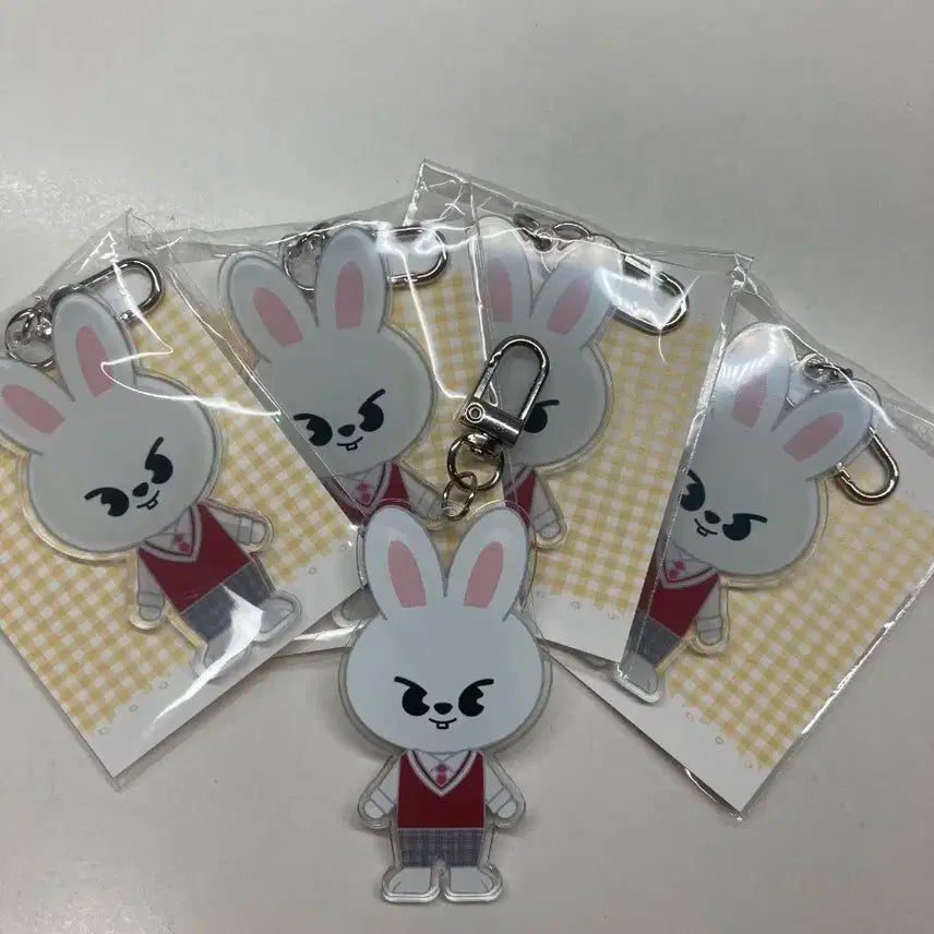 스키주 비공굿 리빗 키링.