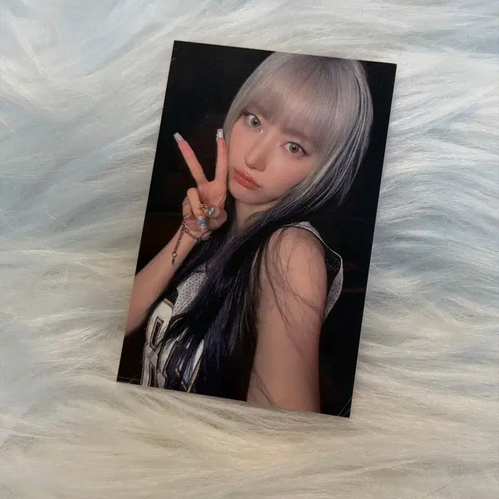 르세라핌 사쿠라 sakula 스탬프북 이벤트 럭키드로우 EASY