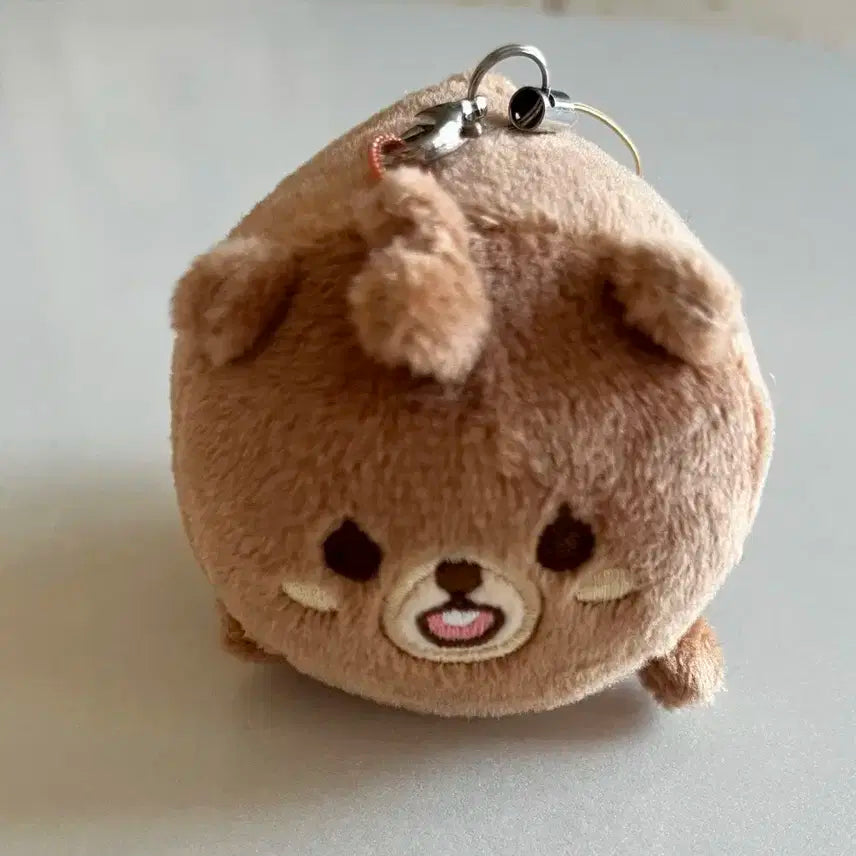 데이식스 데니멀즈 쁘띠멀즈 사족보행 방