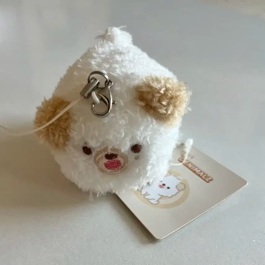 데이식스 데니멀즈 쁘띠멀즈 사족보행 돈