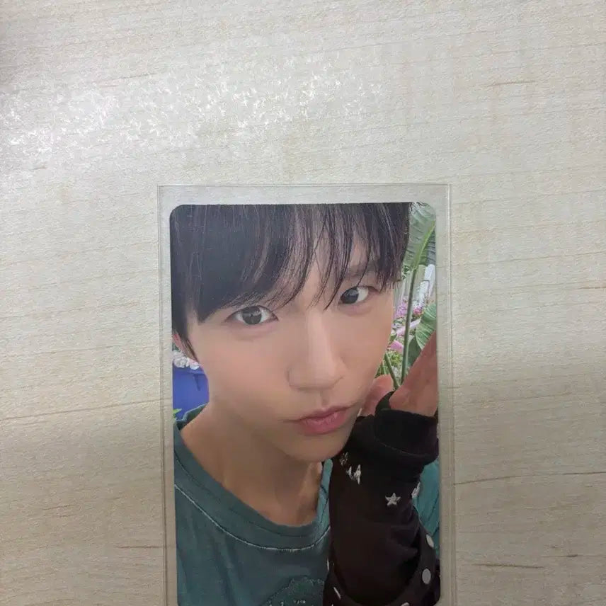 엔시티위시 컬러 쥬얼 단체 재희 포카