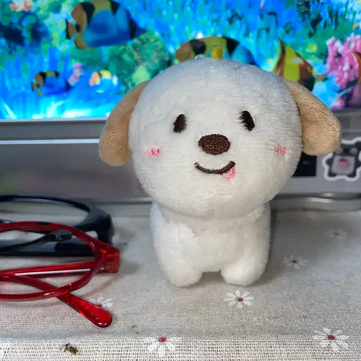 라이즈 앤톤 1기 멍룡 양도합니다