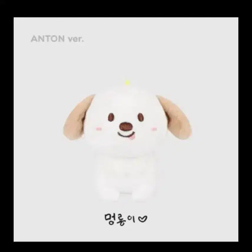 라이즈 앤톤 1기 멍룡 양도합니다