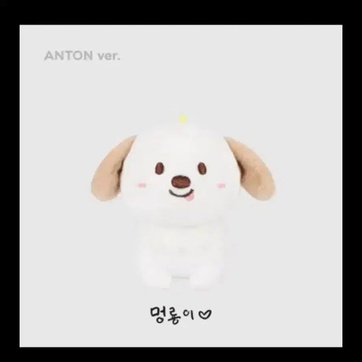 라이즈 앤톤 1기 멍룡 양도합니다