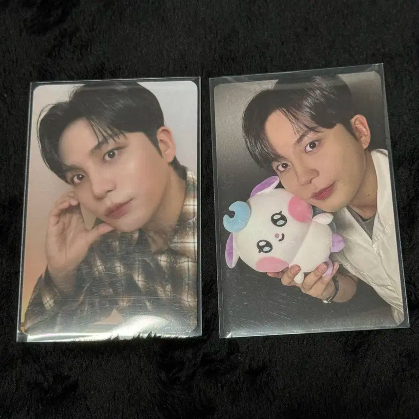 [ATEEZ] 마이티즈 트레카 종호 드볼 SET