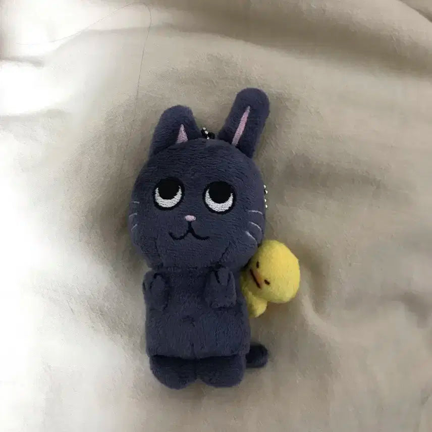 라이즈 토냥덕 1기