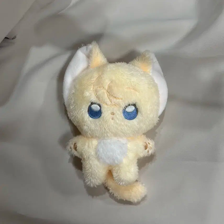 플레이브 노아 치노미