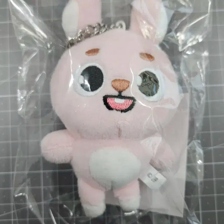 데이식스 백참 필 새상품