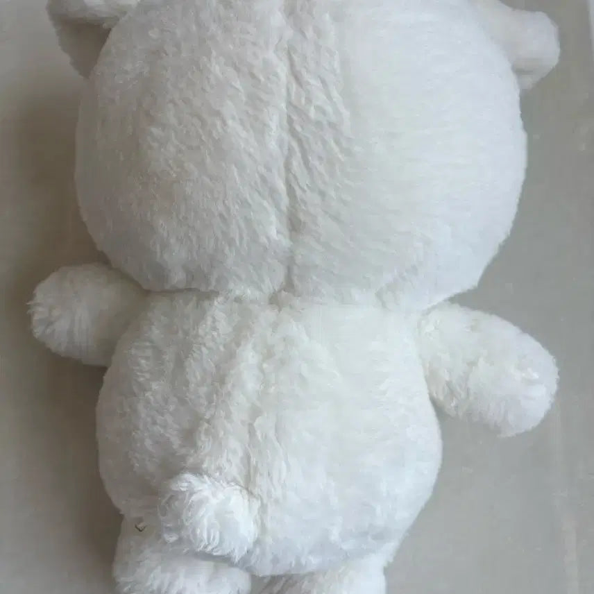 nct127 엔시티 태용 빅툥야