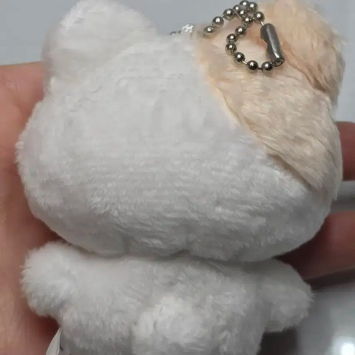 엔시티 드림 지성 행운쮜 인형