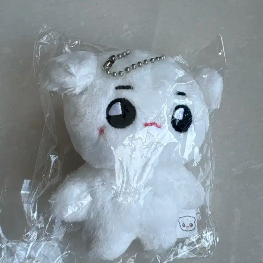 nct127 엔시티 태용 툥야