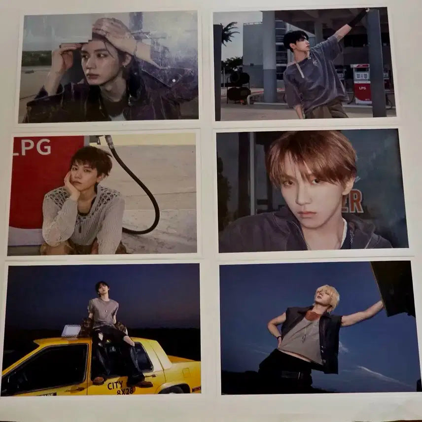 이디야 보넥도 포토엽서 6종